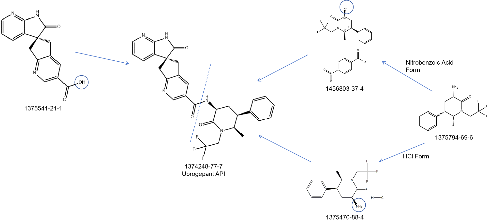 Ubrogepant ROS Building Blocks