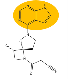 Molecular structure of Delgocitinib