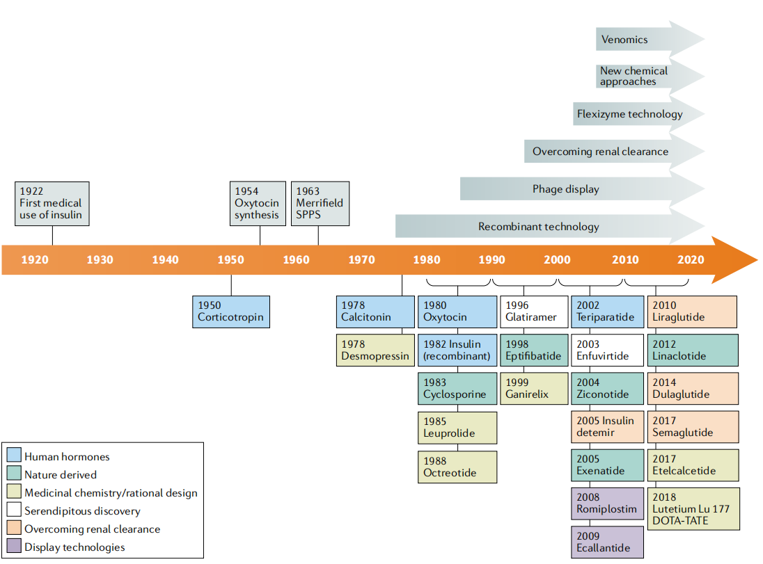 Peptide drug timeline