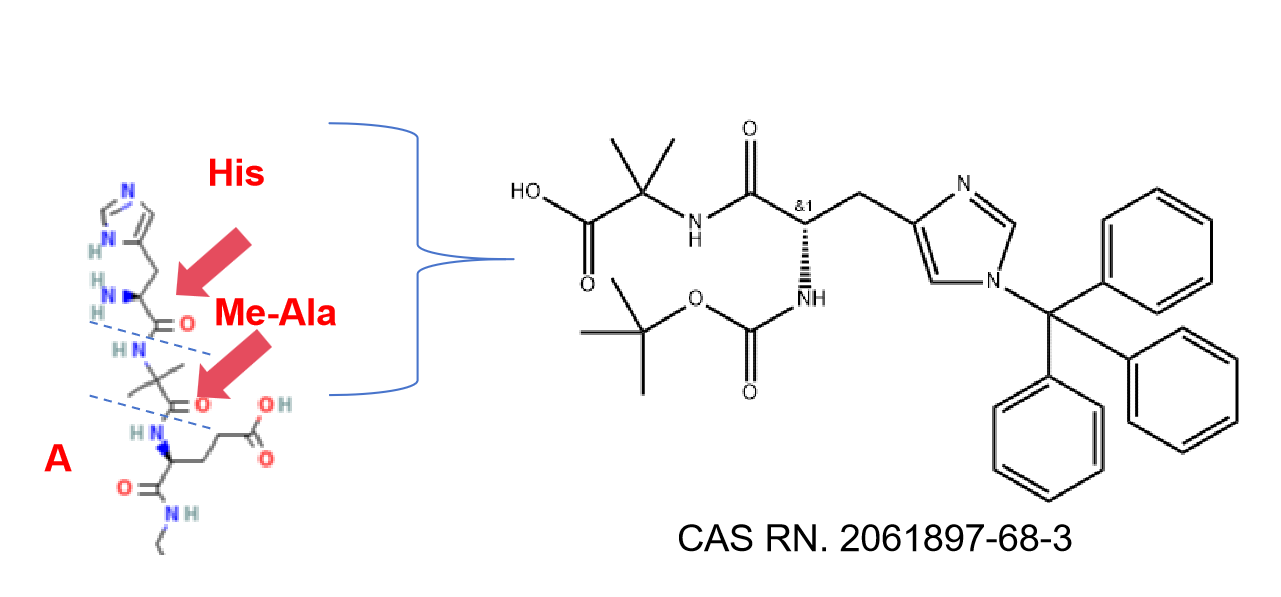 amine group conjugation