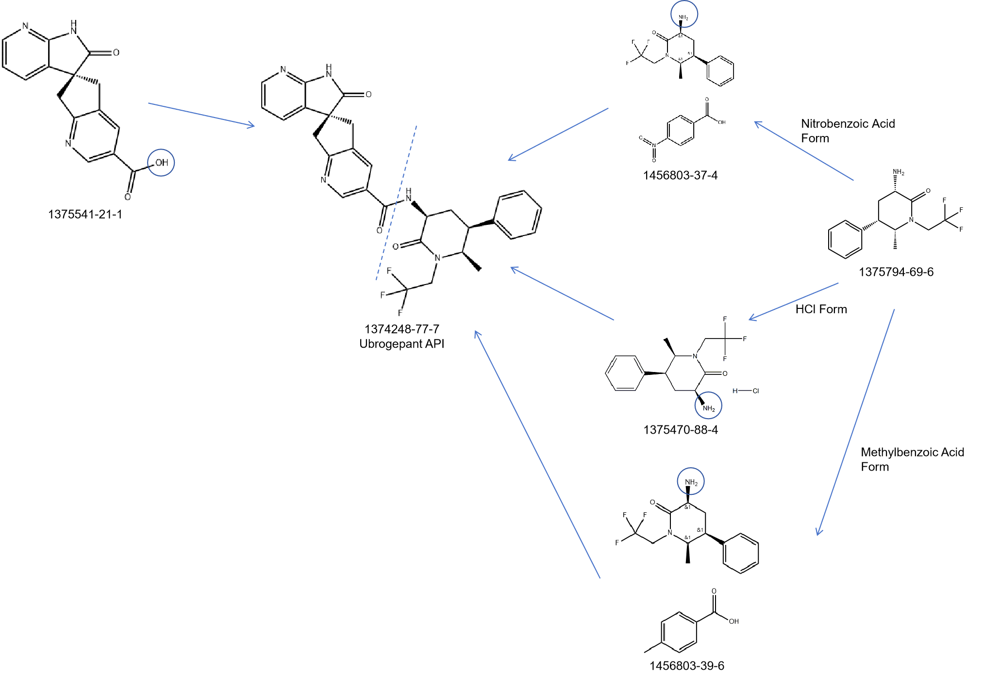Ubrogepant ROS Building Blocks