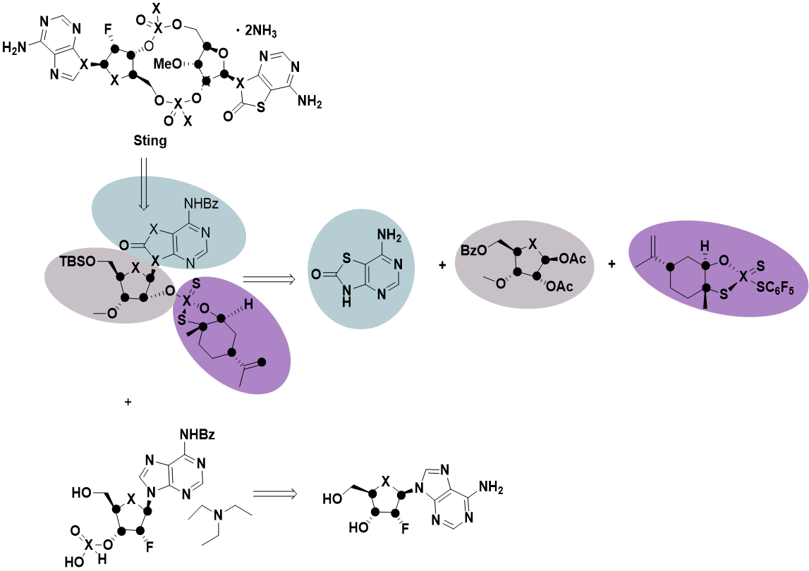 The STNG Pathway and drug development