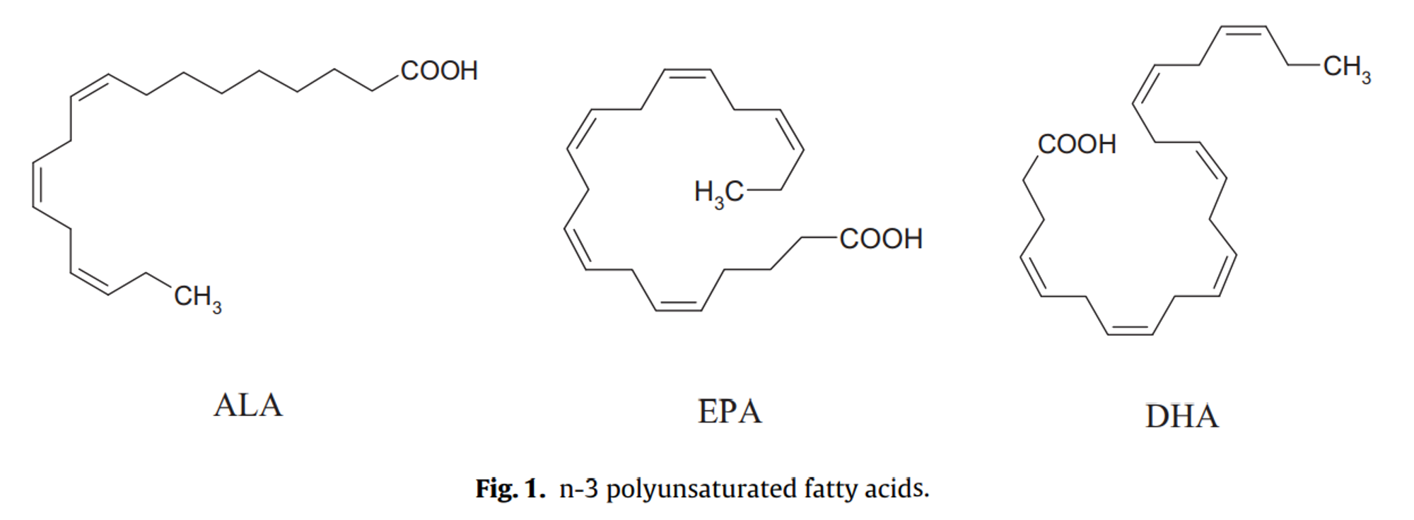types of n-3 polyunsaturated fatty acids, ALA, EPA, DHA