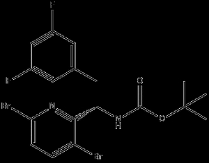 Cas No. 1620056-47-4, Carbamic acid, N-[(1S)-1-(3,6-dibromo-2-pyridinyl)-2-(3,5-difluorophenyl)ethyl]-, 1,1-dimethylethyl ester