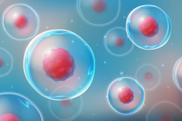 The Challenge Of Immune Rejection For Allogeneic Cell Therapies