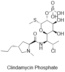 Clindamycin Phosphate