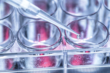 Manufacturing Biotherapeutics Based On Synthetic Biology