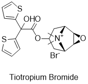 Tiotropium Bromide