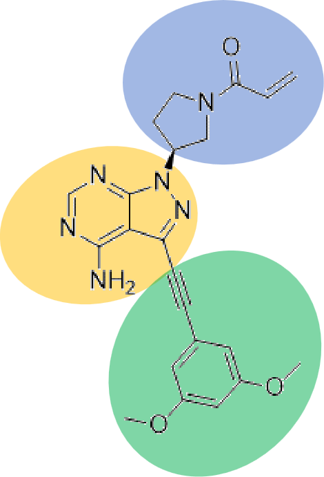 Futibatinib Structure