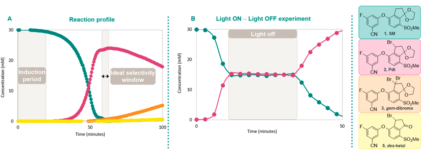 the benzylic bromination step reaction profile
