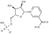 NMN, β-Nicotinamide Mononucleotide, CAS No.1094-61-7