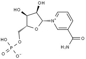 NMN, β-Nicotinamide Mononucleotide, CAS No.1094-61-7