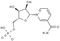 NMN, β-Nicotinamide Mononucleotide, CAS No.1094-61-7