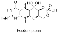 Fosdenopterin